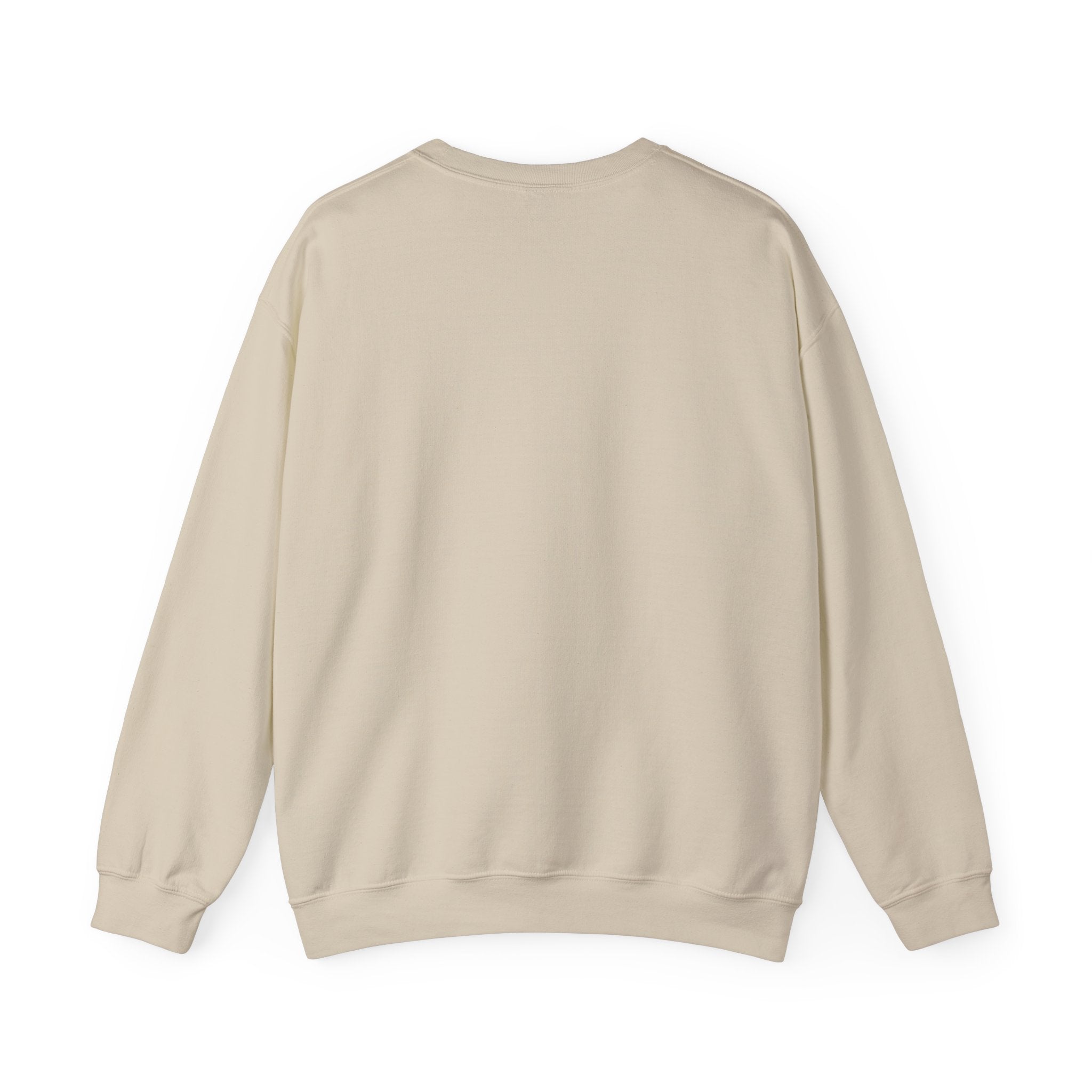 WJJD Patterned Letter Crewneck Sweatshirt — Leopard & Turquoise Accent
