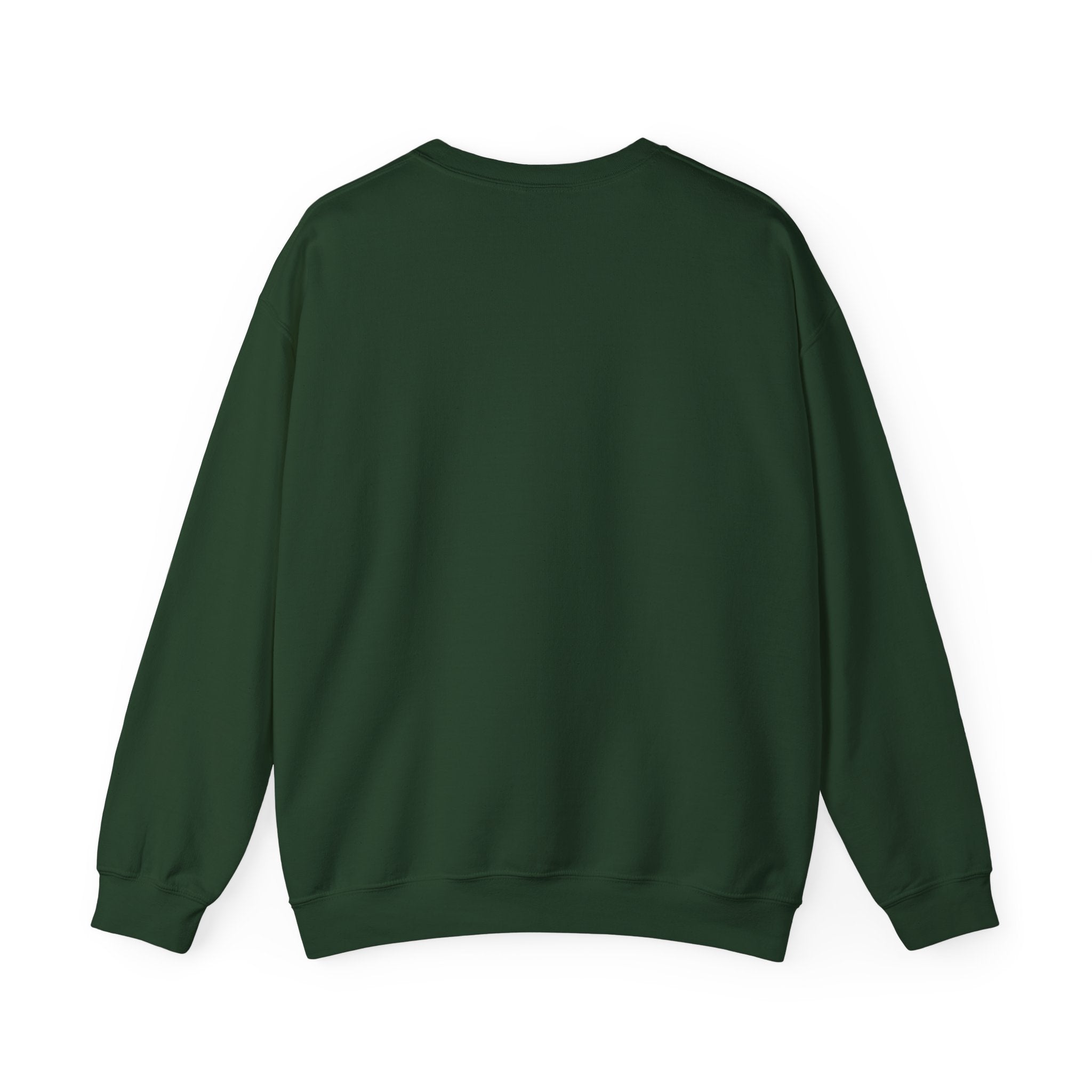 WJJD Patterned Letter Crewneck Sweatshirt — Leopard & Turquoise Accent